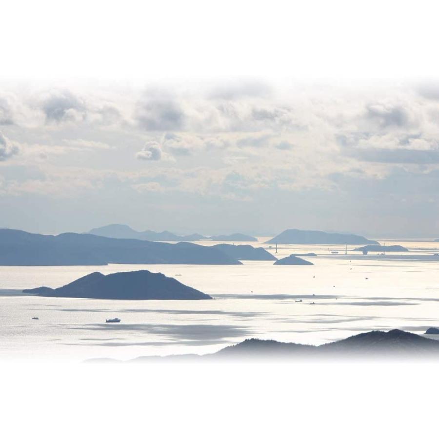 小豆島手延そうめん 島の光 9kg ダンボール箱 (乾麺 手延素麺) ファリーナコーポレーション | 小豆島手延素麺協同組合 | 03