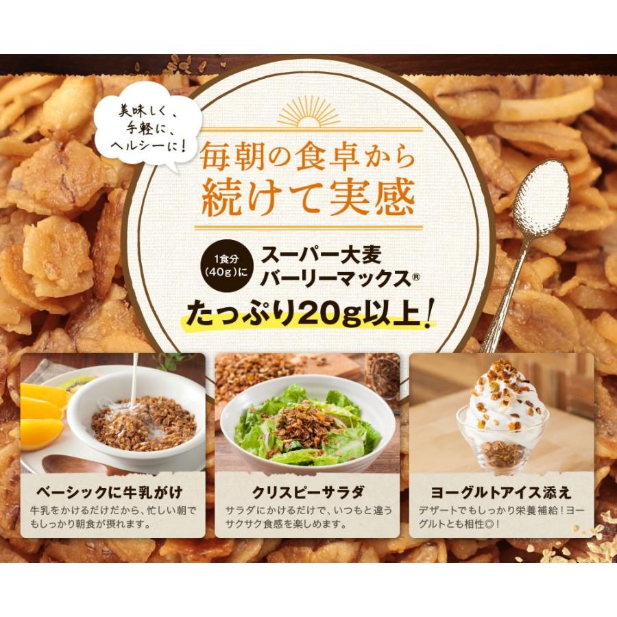 スーパー大麦 グラノーラ バーリーマックスグラノーラ 0g 5袋 大麦 Barley Barley Granola 糖質制限専門店 Lohastyle 通販 Yahoo ショッピング