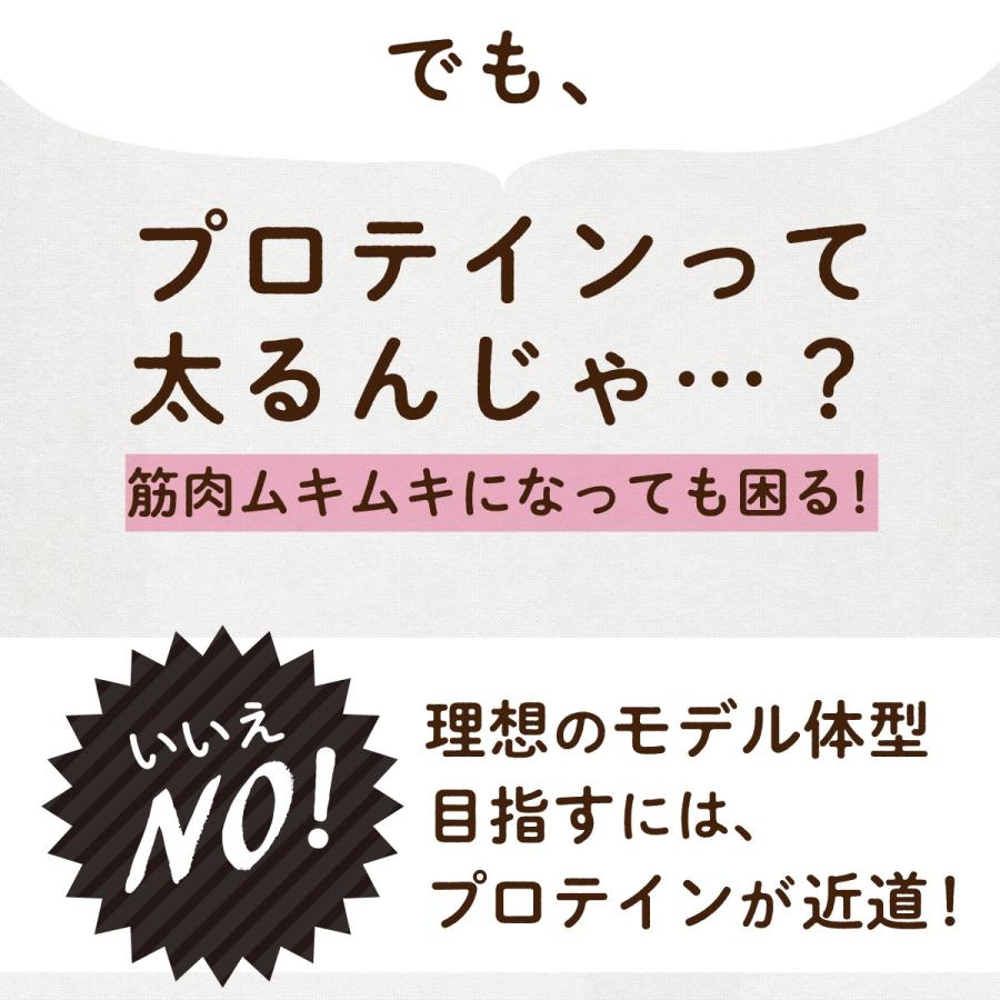 ホエイプロテイン カカオ 1kg グラスフェッド 牛成長ホルモン不使用 WPC LOHAStyle ロハスタイル | LOHAStyle | 05