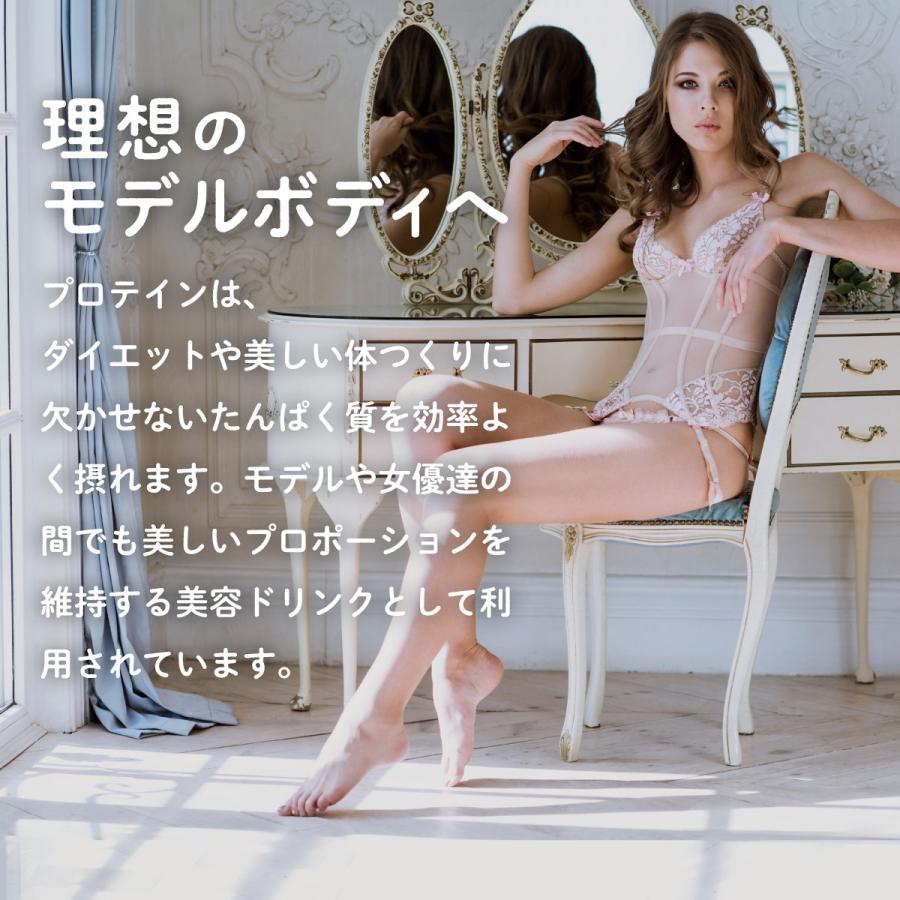 ホエイプロテイン カカオ 1kg グラスフェッド 牛成長ホルモン不使用 WPC LOHAStyle ロハスタイル | LOHAStyle | 06