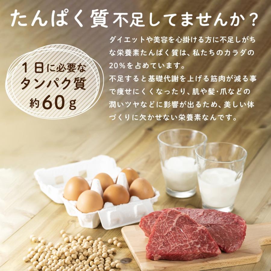 ホエイプロテイン カカオ 1kg グラスフェッド 牛成長ホルモン不使用 WPC LOHAStyle ロハスタイル | LOHAStyle | 08