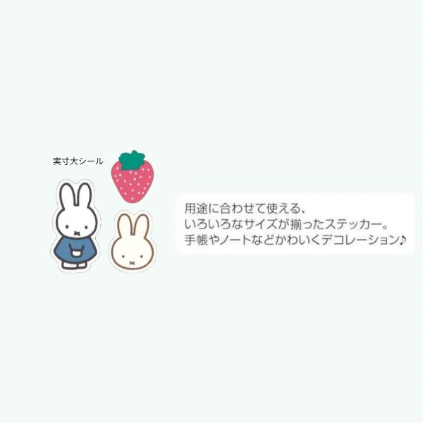 Miffy（ミッフィー） 【8月販売予定】ミッフィー「ミッフィー マルチ