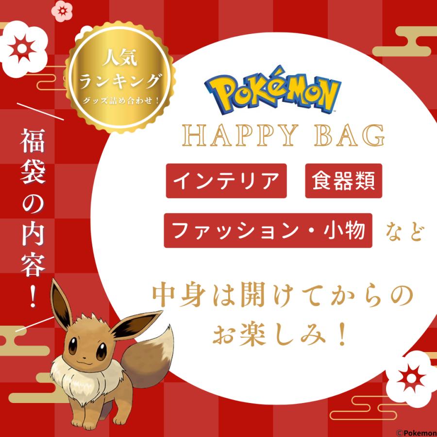 2026年ポケモン福袋 【金コイキング】【イーブイ】大当り ポケモンセンター福袋「ピカピカボックス2026」 11月27日まで抽選