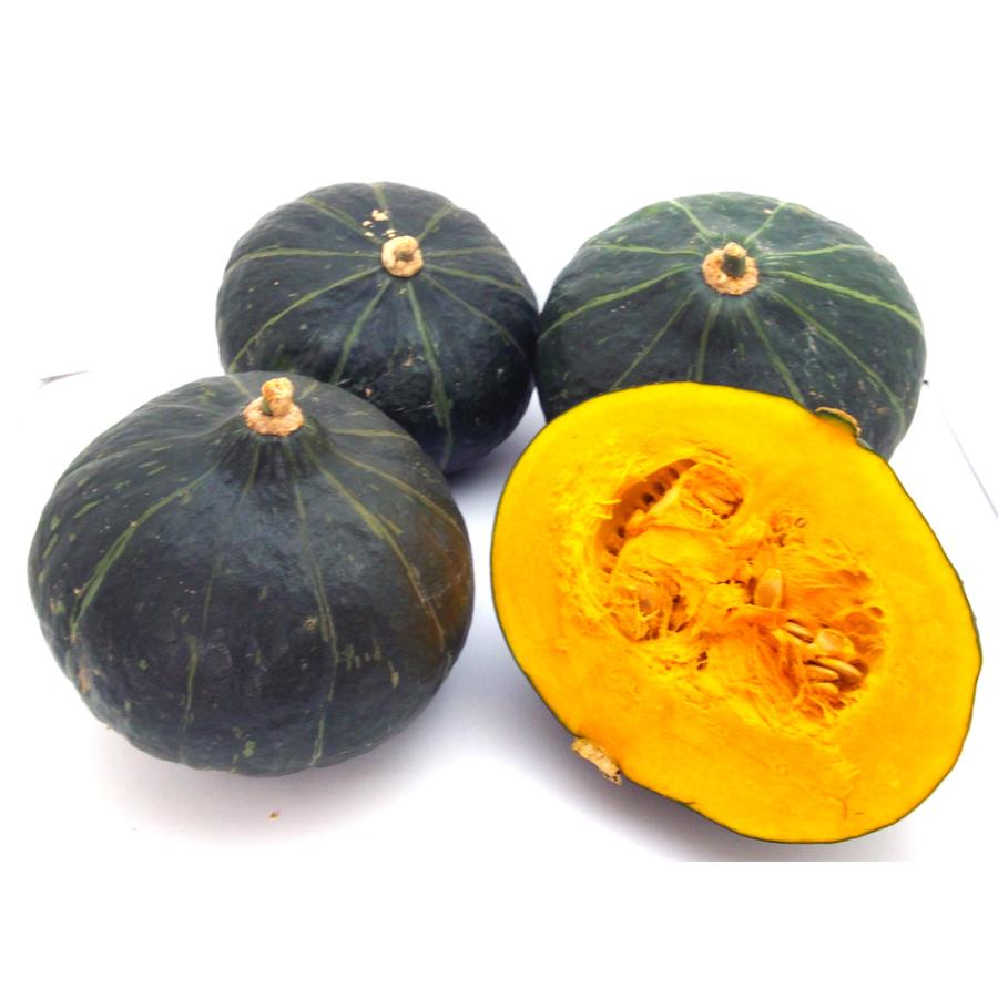 大きな取引 石垣島からのお便り 栗カボチャ 10kg詰合せ ４玉 １０玉 最高級の石垣島カボチャ 石垣島からの直送 Wantannas Go Id