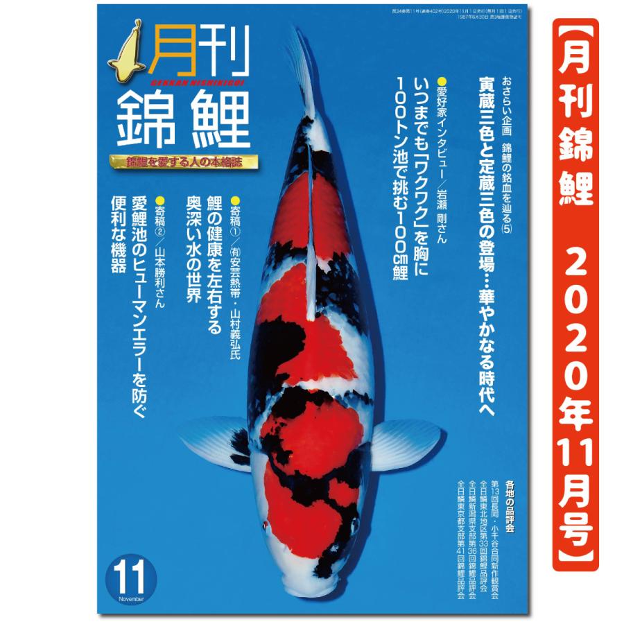 泳ぐ宝石 月刊錦鯉 ２０２０年 １１月号 １冊 Ng 株式会社 錦彩出版 通販 Yahoo ショッピング