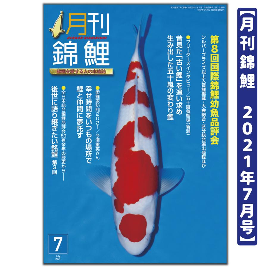 月刊錦鯉 ２０２１年 7月号 １冊 Wowoffice Vn