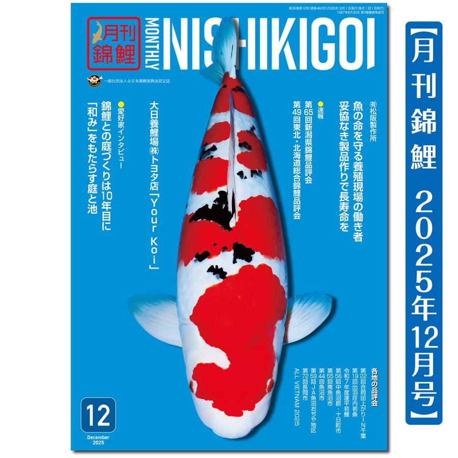 泳ぐ宝石】月刊錦鯉 2025年12月号 (有)松阪製作所／愛好家／Your