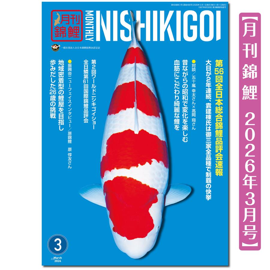 泳ぐ宝石】月刊錦鯉 2026年3月号 第56回全日本速報／対談・五十嵐