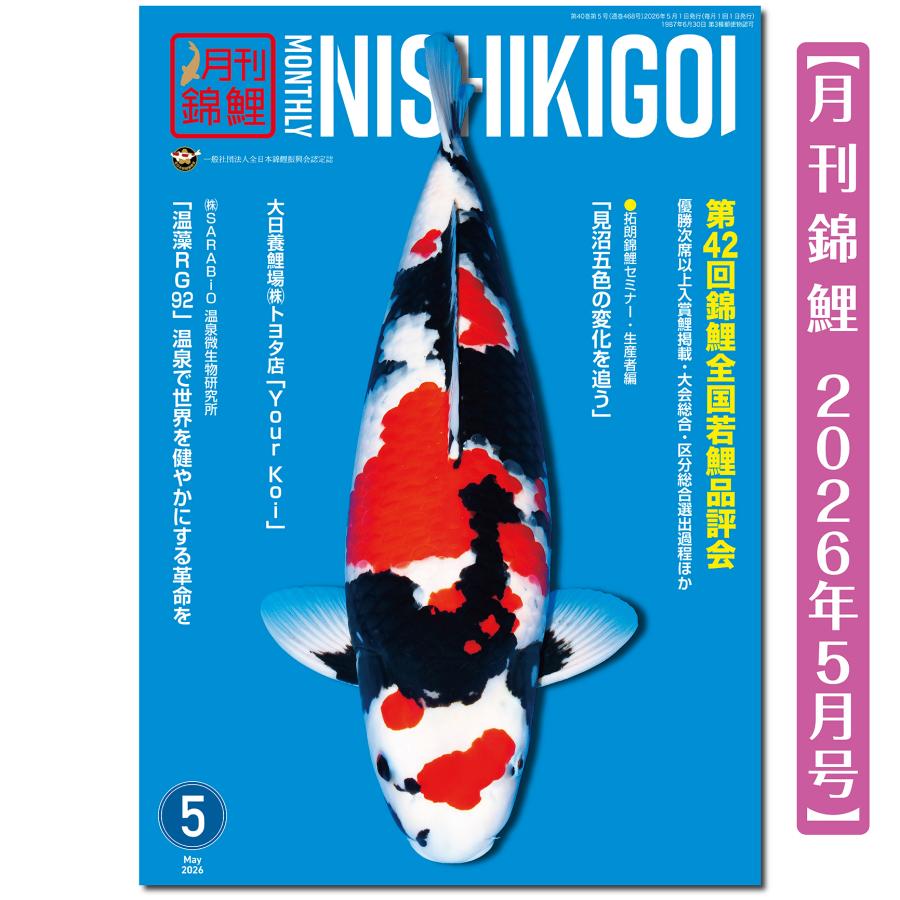 泳ぐ宝石】月刊錦鯉 2026年5月号 第42回錦鯉全国若鯉品評会／錦鯉