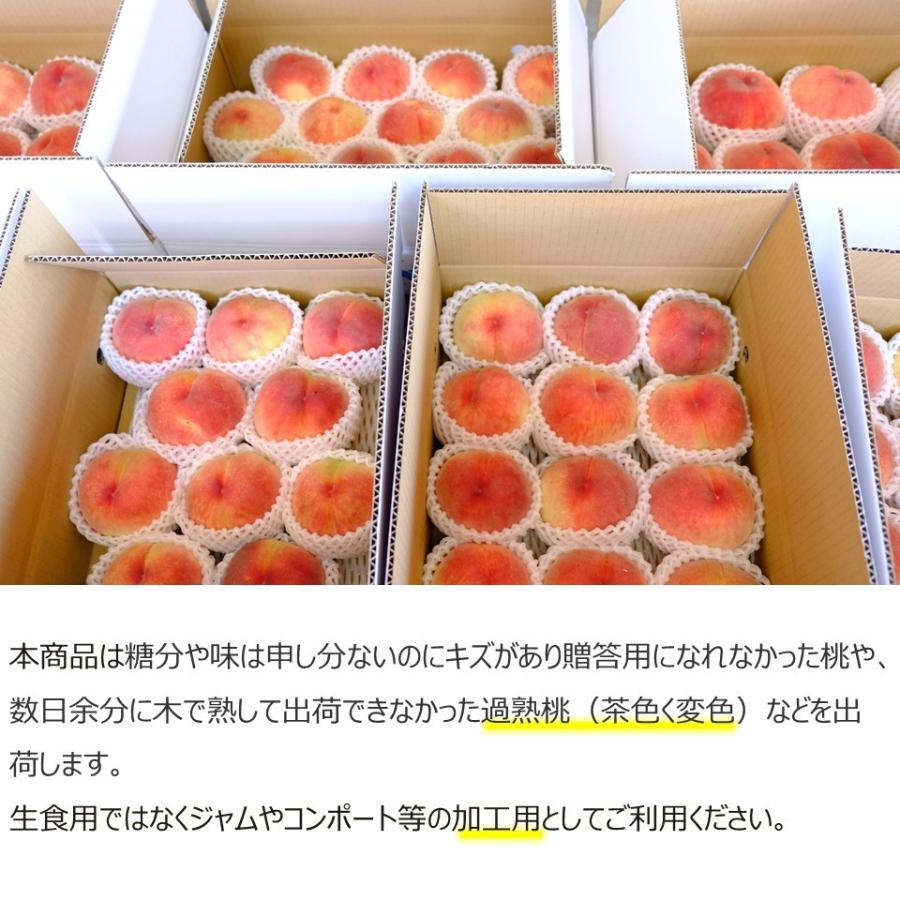 2025年度予約販売】桃 約5kg 加工用 訳あり 送料無料 山梨 農家 2025年度予約販売】桃 約5kg 加工用 訳あり 送料無料 山梨 農家