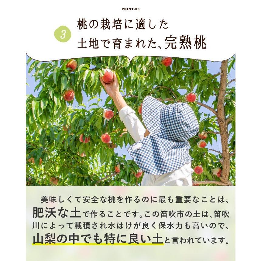 2025年度予約販売】桃 約5kg 加工用 訳あり 送料無料 山梨 農家