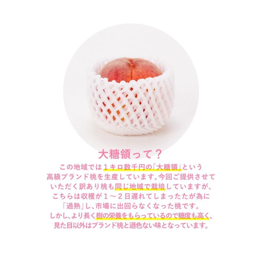 2025年度予約販売】桃 約5kg 加工用 訳あり 送料無料 山梨 農家