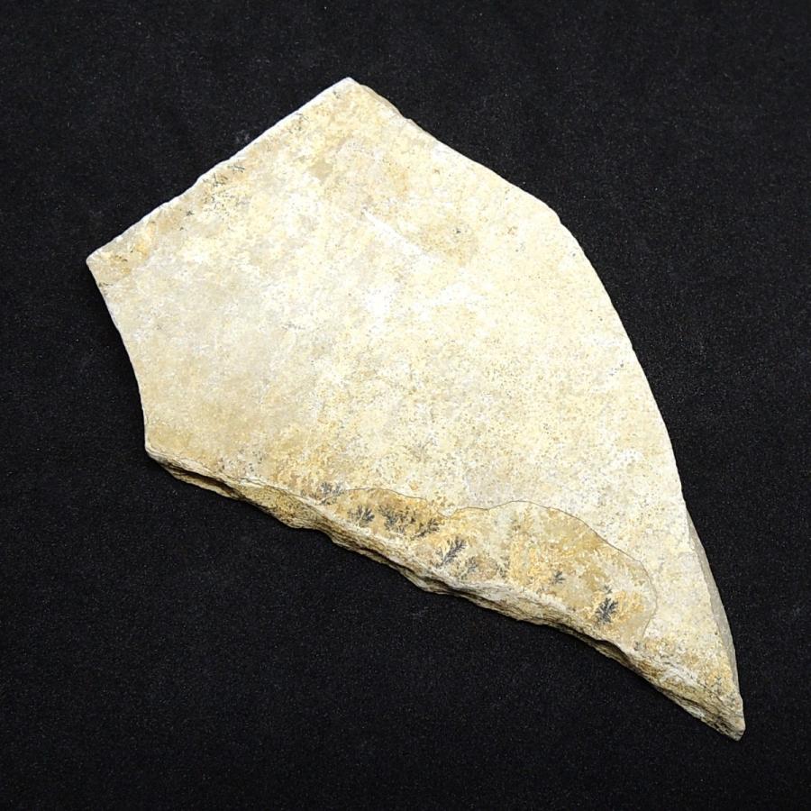 デンドライト しのぶ石 忍石 原石 ドイツ産 : 鉱物標本 天然石 金星舎