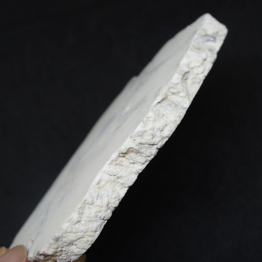 本物 ハウライト 同ロット鑑別済 ハウ石 標本 原石スライスカット ティックキャニオン産 アメリカ産の画像