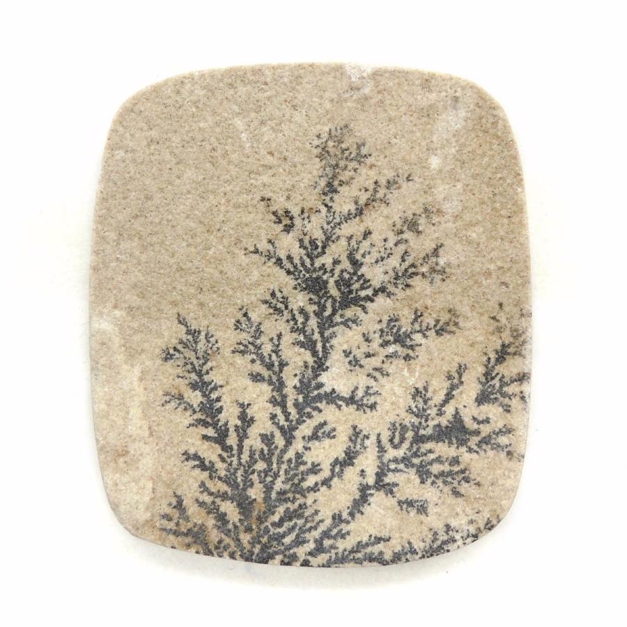 デンドライト ルース 忍石 ジャーマンデンドライト デンドライトライムストーン ドイツ産 しのぶ石 鉱物標本 天然石 金星舎 通販 Yahoo ショッピング