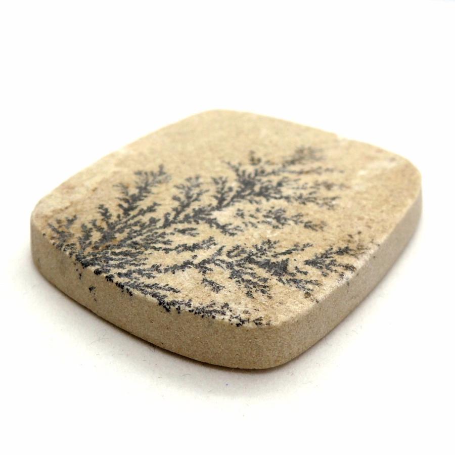 デンドライト ルース 忍石 ジャーマンデンドライト デンドライトライムストーン ドイツ産 しのぶ石 鉱物標本 天然石 金星舎 通販 Yahoo ショッピング