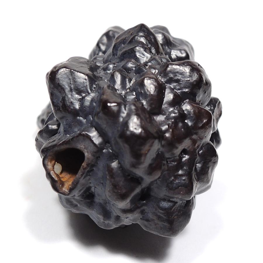 ゲーサイト マーカサイト仮晶 Zストーン ゼットストーン プロフェシー