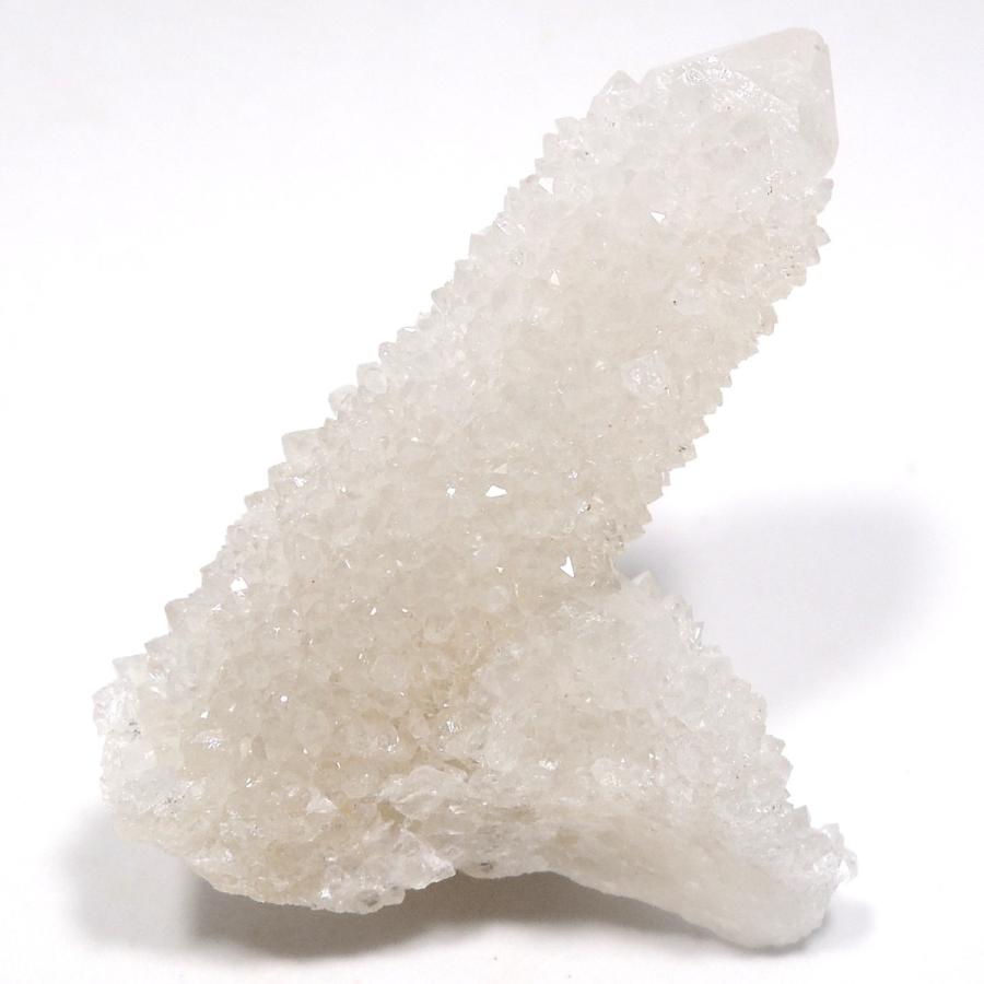 カクタスクォーツサボテン水晶スピリットクォーツフラワークォーツ原石鉱物