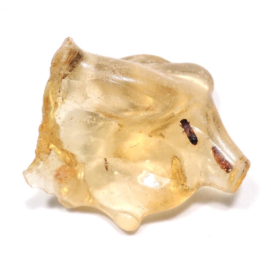 琥珀の半化石のコーパル 希少 虫入り パワーストーン ストア 琥珀の半