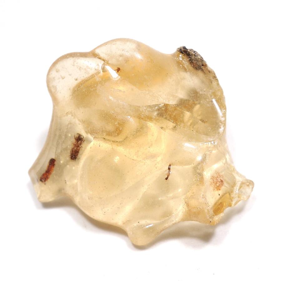 【超希少】虫入り琥珀（コパル） 虫入り琥珀 原石 虫入りコーパル コパル 若年琥珀 化石