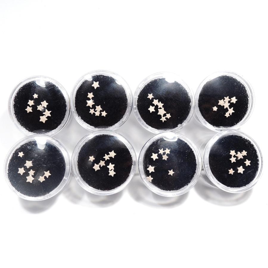 ウミユリ化石 ウミユリ 1セット 7個 ランダム 化石 アメリカ産 : 鉱物