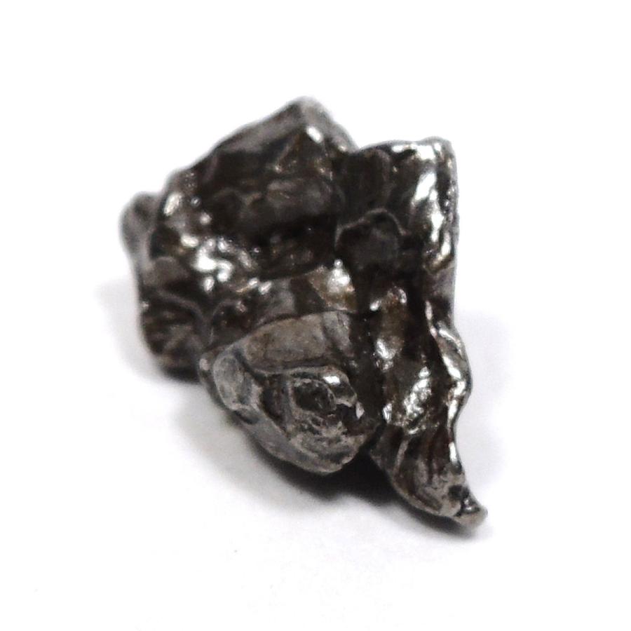 カンポ・デル・シエロ隕石 カンポデルシエロ隕石 隕石 メテオライト 鉄