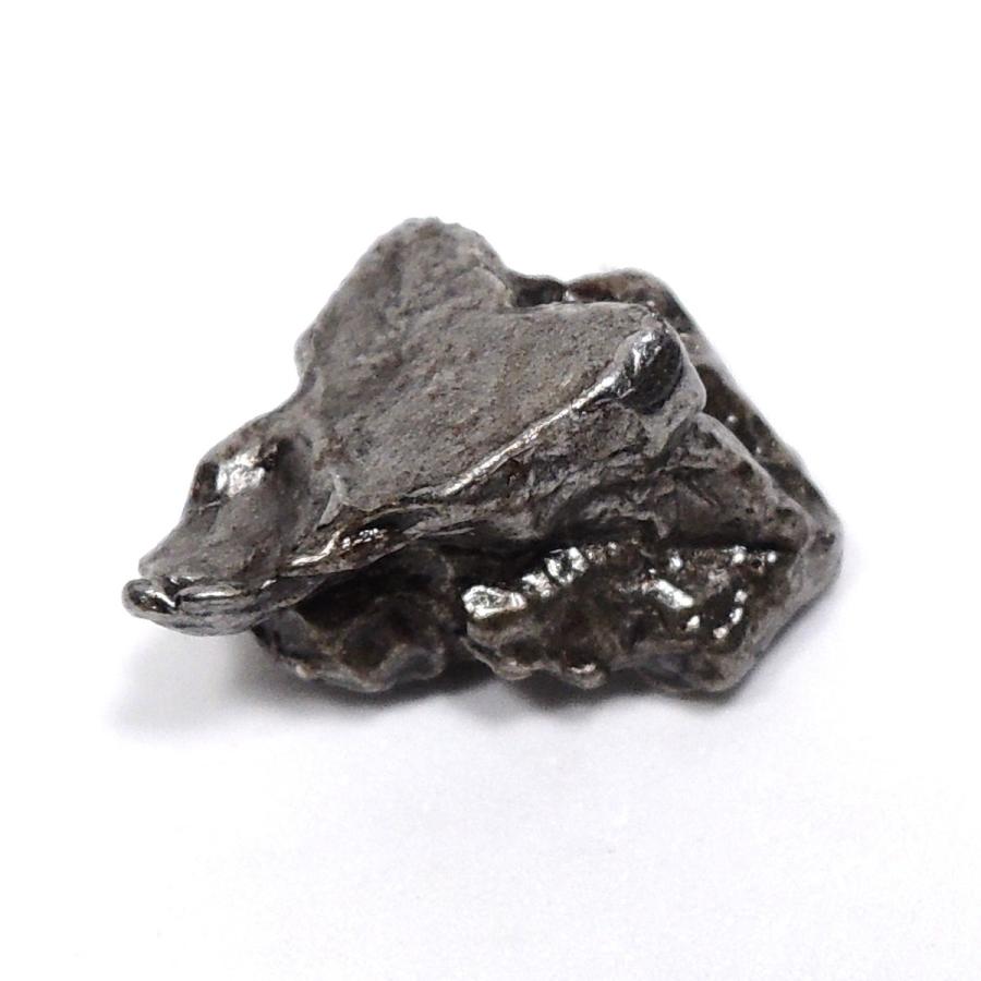 カンポ・デル・シエロ隕石 カンポデルシエロ隕石 隕石 メテオライト 鉄