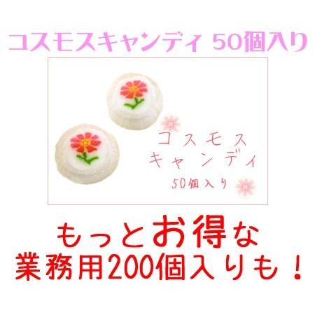 秋 お菓子 コスモスキャンディ50個入り 1袋 Cosmoscandy501pr 飴菓子専門店 金扇 通販 Yahoo ショッピング