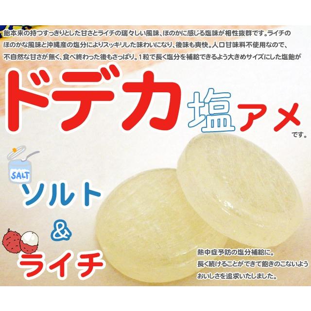 ドデカ塩飴 ソルト＆ライチ 1袋100個入り 業務用972円 飴、ソフトキャンディ