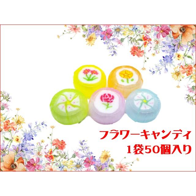 55.キャンディ　キャンディ　花名刺 丸三 キャンディキャンディ花名刺 24付