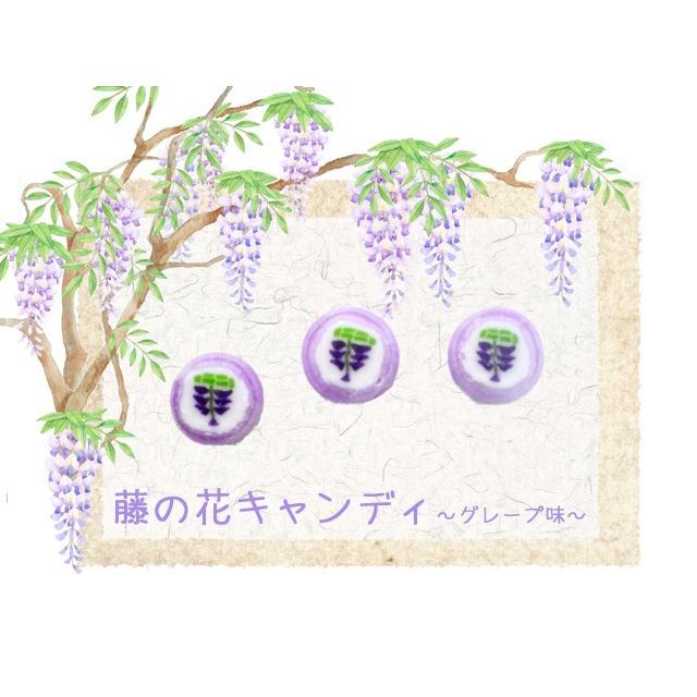 藤の花キャンディ50個入り 7袋セット 送料無料 お菓子 春 手作り プレゼント ギフト 通販 Fujinohanacandy 飴菓子専門店 金扇 通販 Yahoo ショッピング