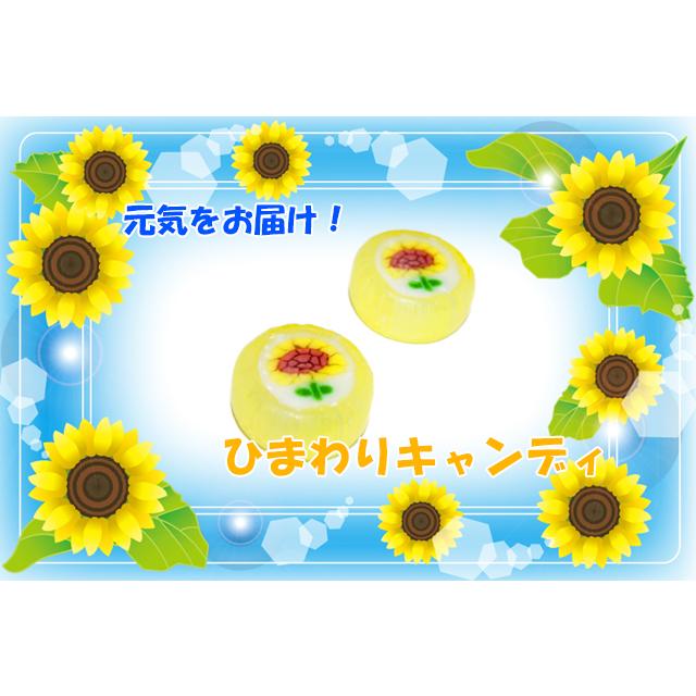 ひまわりキャンディ 50個入り : 飴菓子専門店 金扇 - 通販