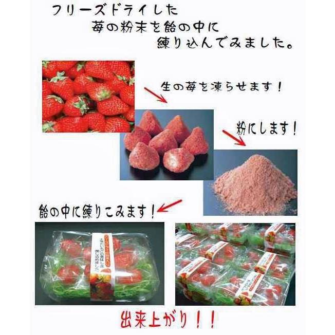 フルーツキャンディ いちごサンプル意味ない物 フルーツキャンディ いちごサンプル意味ない物