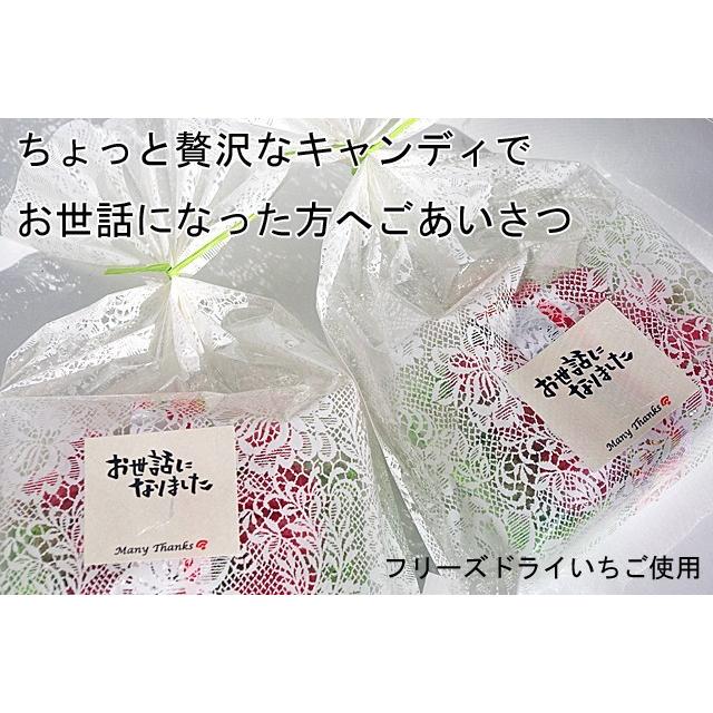 ラッピング済み もぎたていちご×10個セット 送料無料 お世話に ラッピング済み もぎたていちご×10個セット 送料無料 お世話に