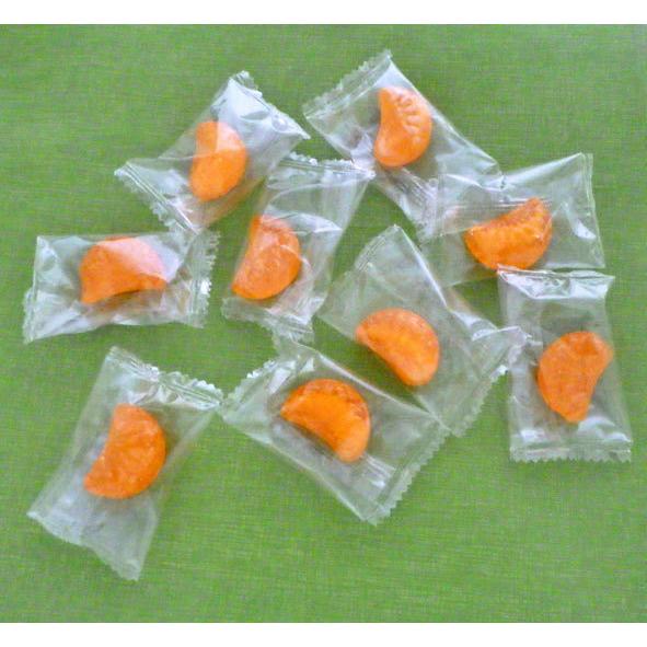 蜜柑飴さま 専用 みかん塩飴（夏みかん味） 1袋100個入り 業務用 個包装 愛媛県産甘夏