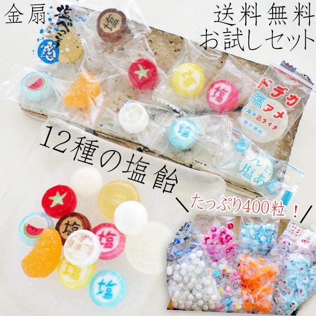 塩飴お試しセット 8袋 400粒入り　送料無料 12種の味 個包装 詰め合わせ 全部乗せ アソート の商品画像