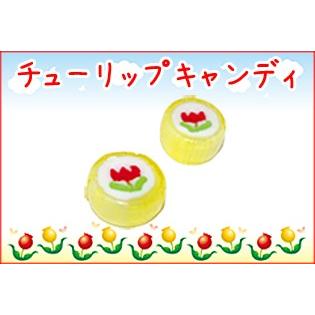 チューリップキャンディ 1個 お取り寄せ 手作り 個包装 コンビニ未販売 通販限定 Tulip1 飴菓子専門店 金扇 通販 Yahoo ショッピング