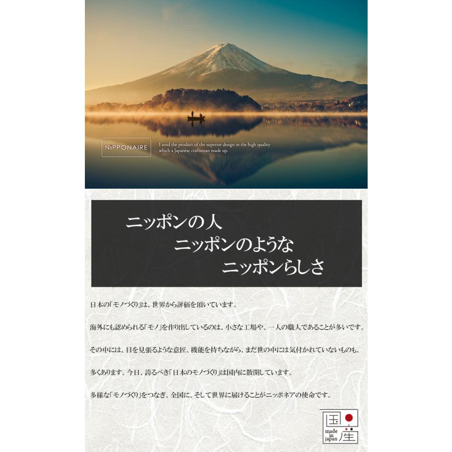 センターテーブル RAICHOライチョウ NIPPONAIRE ニッポネア ローテーブル リビングテーブル 国産 ウォールナット オーク シンプル