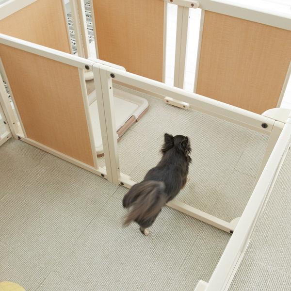 ペットサークル 犬用 多頭飼い サークルケージ 中型犬 大型犬 室内用 木製 ペット家具 「 サークルプラス ツードア F80XLp アクリル 」 kiinus キーヌス 日本製｜kintaro-w｜08