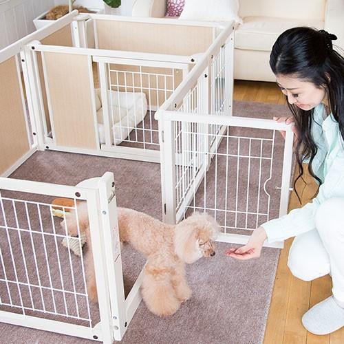 ペットサークル　kiinus（キーヌス）F 60Lp メッシュ Kiinus [サークルプラスツードアF60Lpメッシュ] 小型犬用 サークル