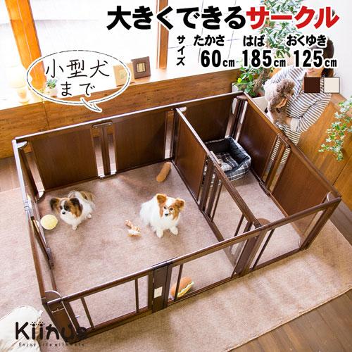 Kiinus kiinus キーヌス 日本製 [ サークルルーム F 60XLp Kiinus kiinus キーヌス 日本製 [ サークルルーム F 60XLp
