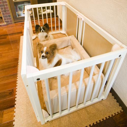 Kiinus（キーヌス） [ペットサークル60S] 小型犬用 サークル 多頭飼い