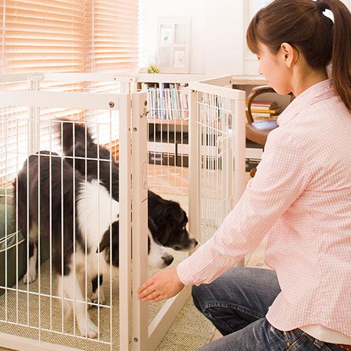 新品未使用❣️Kiinus ペットサークル F 80Lアクリル　専用ルーフ付き Kiinus（キーヌス） [ペットサークルF80XLメッシュA] 犬用 サークル