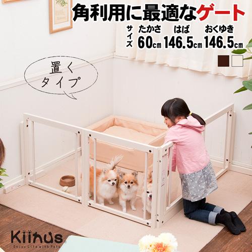 Kiinus kiinus キーヌス 日本製 [ コーナーゲート F 60XL Kiinus kiinus キーヌス 日本製 [ コーナーゲート F 60XL
