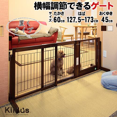 最終価格　國學院栃木　ヘッドギアMサイズ Petselect by Nihonikuji 公式オンラインショップペットセレクト
