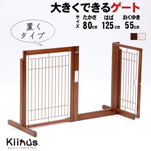 Kiinus kiinus キーヌス 日本製 [ システムゲート BF 80