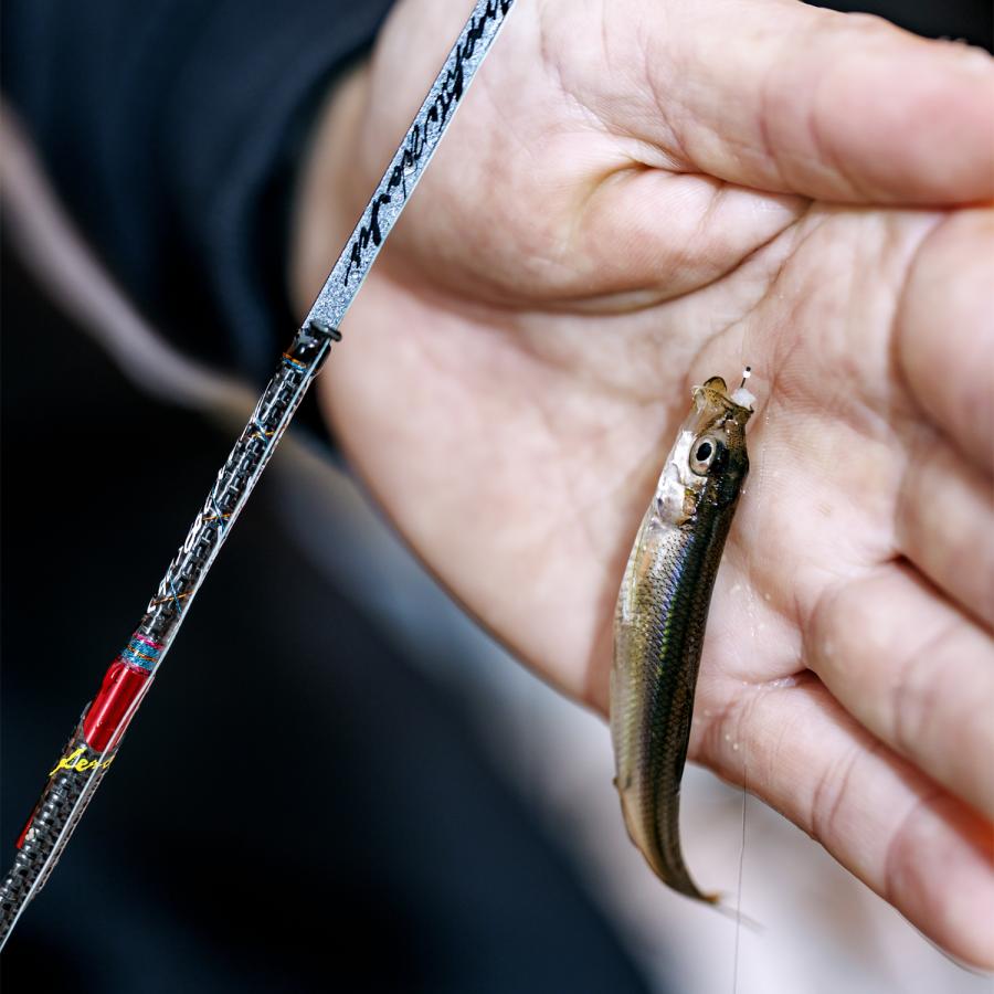 VARIVAS 2025NEW ワカサギ穂先 MAX299 ＜改＞ バリバス 公魚工房