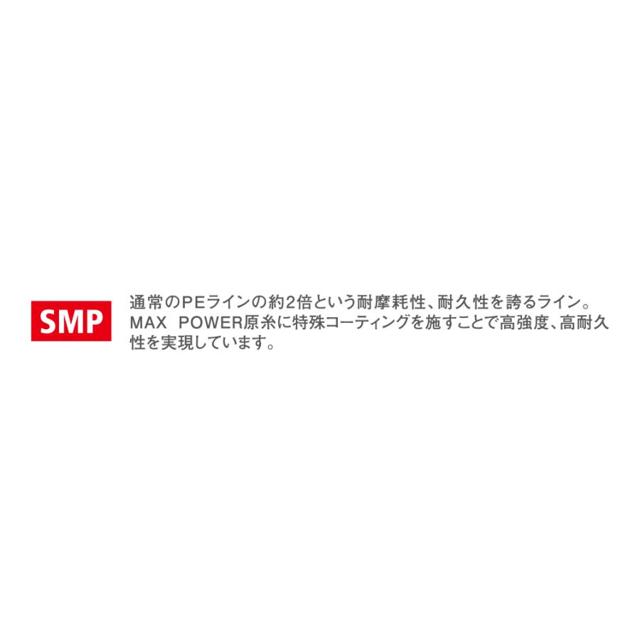VARIVAS（バリバス） アバニ キャスティングPE SMP 6号-300m