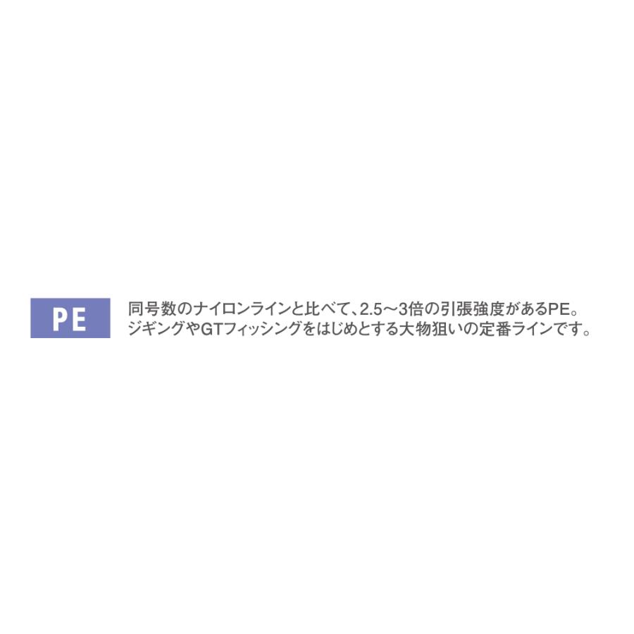 VARIVAS（バリバス） アバニ キャスティングPE SMP 8号-300m