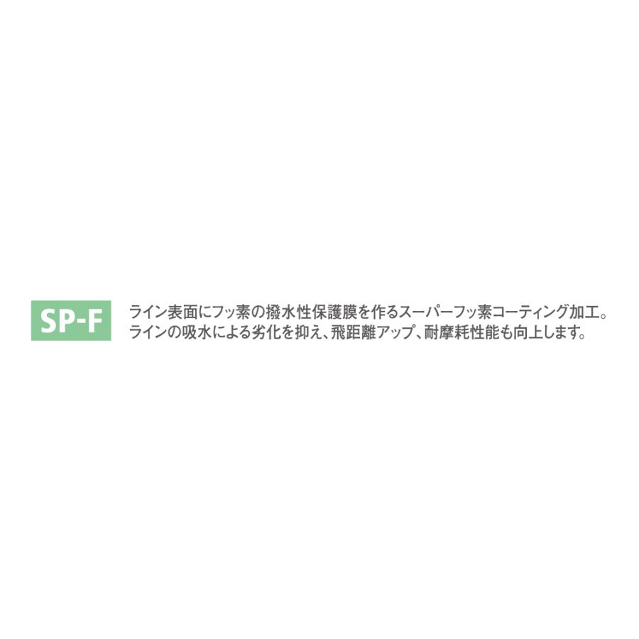 VARIVAS（バリバス） アバニ キャスティングPE SMP 6号-400m